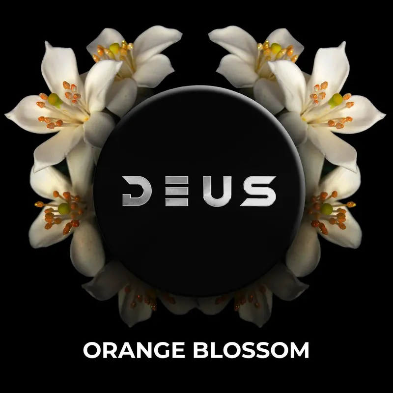Deus Orange Blossom Hookah Shisha Tobacco