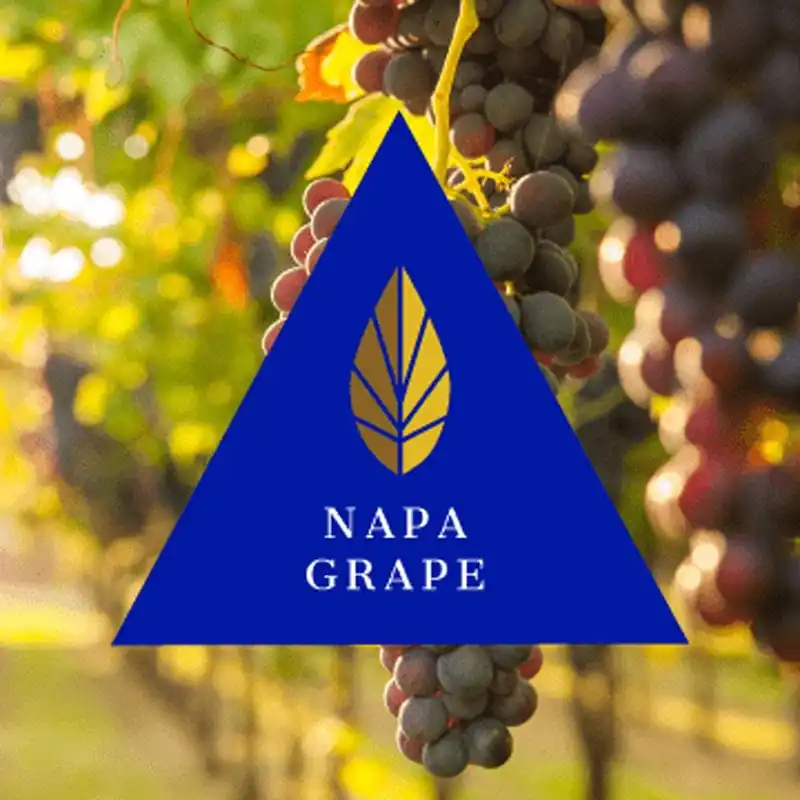 Azure Gold Line Napa Grape 100g