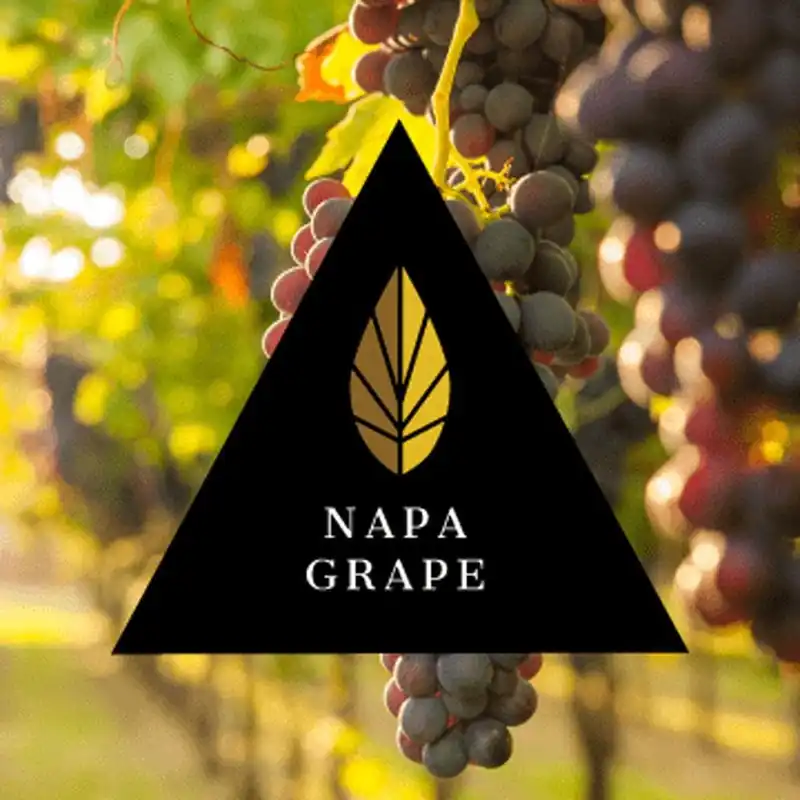 Azure Black Line Napa Grape Hookah Shisha Flavor
