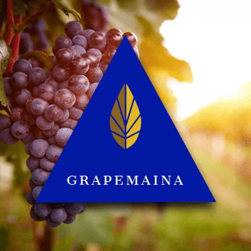 Azure Gold Line Grapemania Hookah Shisha Flavor
