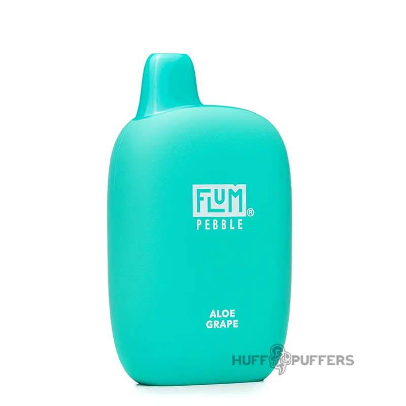 Flum Pebble Disposable Vape 5% Nicotine - Flum Vapor