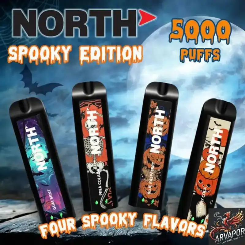 North 5000 Puffs Disposable - North Vape