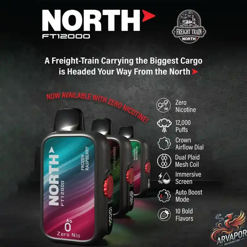 North FT12000 Zero Nic Disposable - North Vape