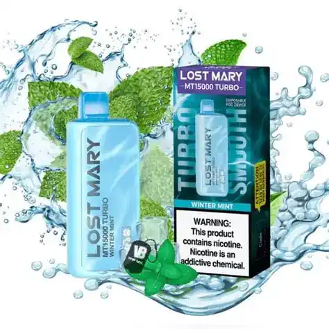 LOST MARY WINTER MINT MT15000 Turbo 16ML 15K Puffs Disposable - AR VAPOR