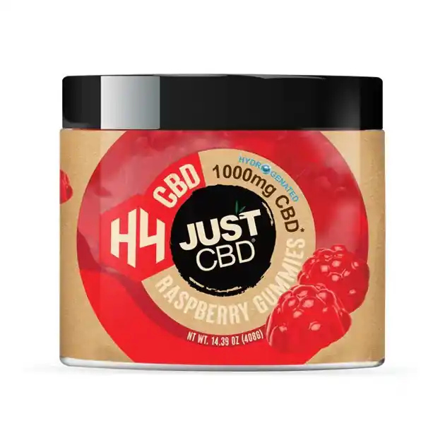 Just H4 CBD Raspberry Gummies - JUST CBD