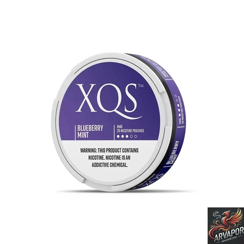Blueberry Mint - XQS Slim Nicotine Pouches