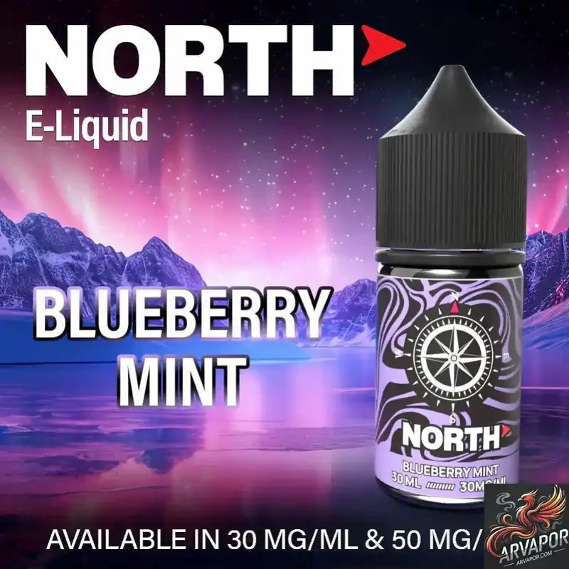 Blueberry Mint - North Salt E-Liquid 30mL