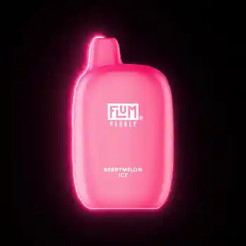 Flum Pebble 6000 Puffs Disposable