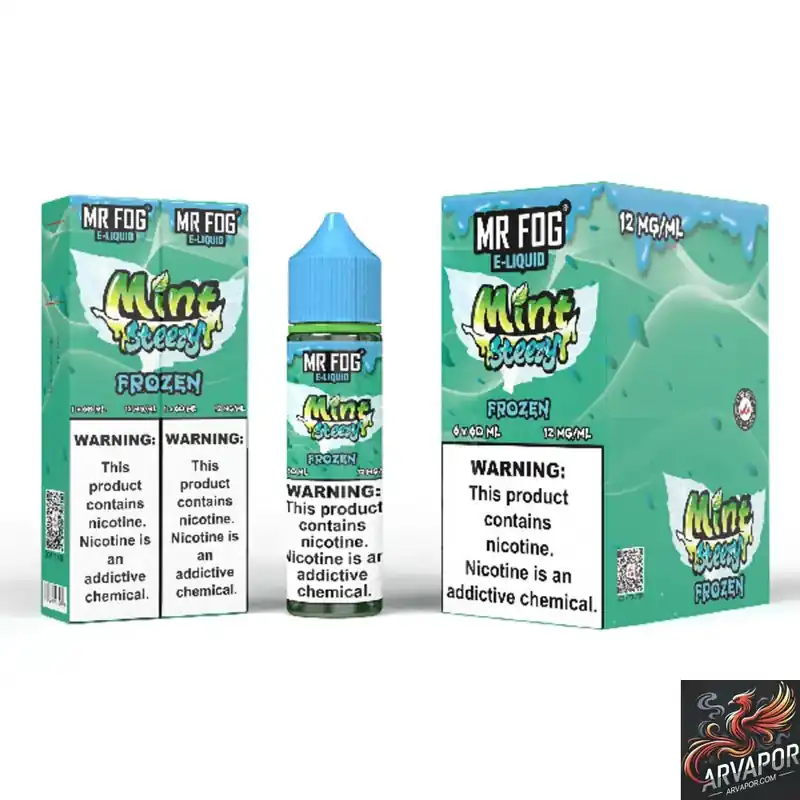 Mint (Frozen) - Mr Fog Steezy E-Liquid 60mL