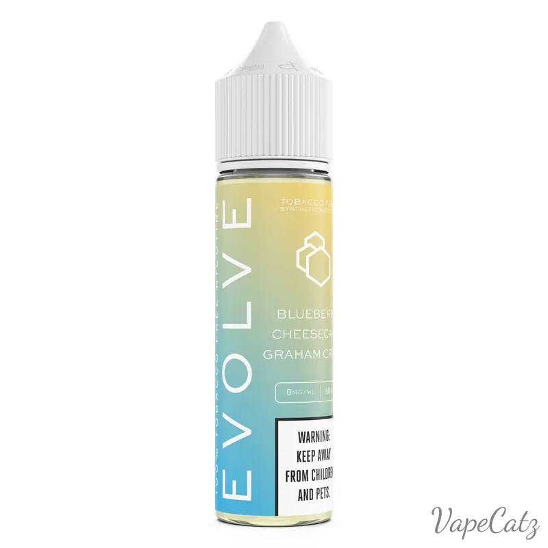 Blueberry Cheesecake - Evolve