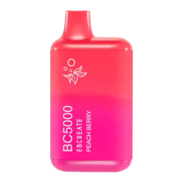 Peach Berry EB Create BC5000 - Elf Bar (EB Create)