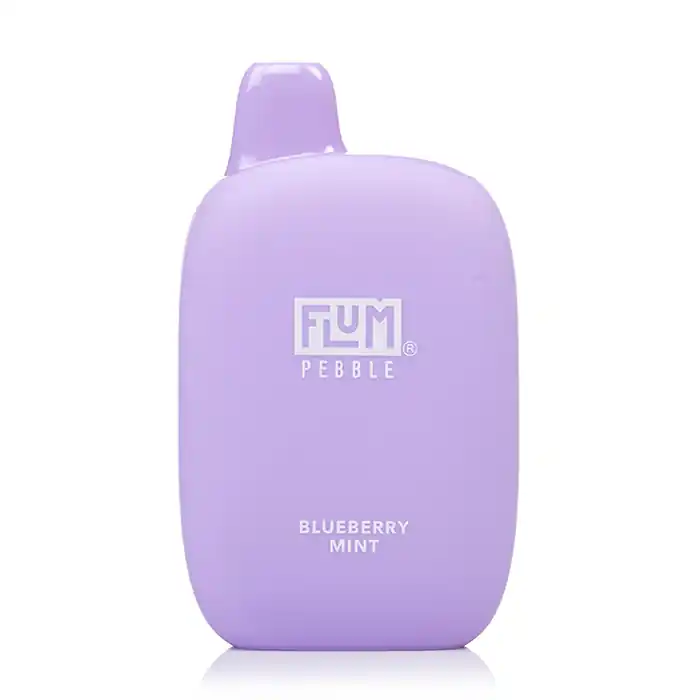 BLUEBERRY MINT FLUM PEBBLE 6000 DISPOSABLE