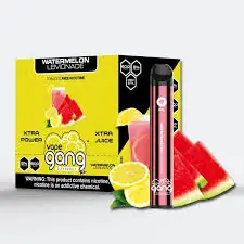 WATERMELON LEMONADE GANG XL