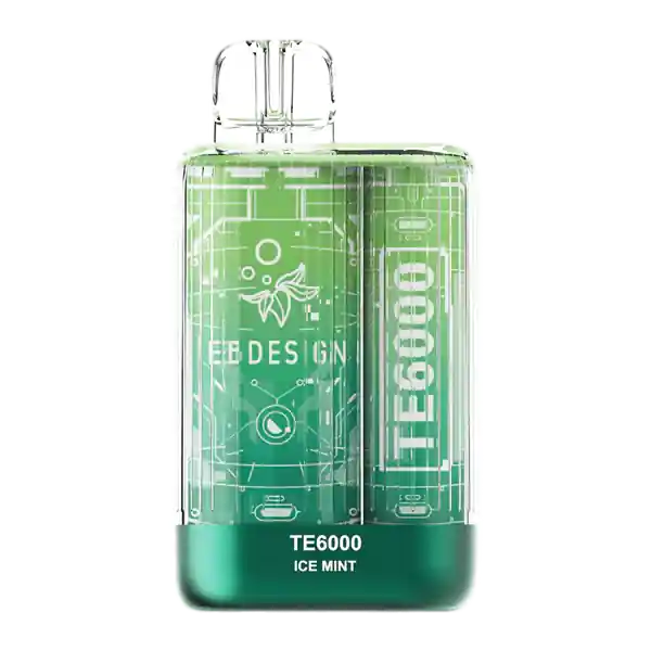 EB Design TE 6000 Vape – Ice Mint - Elf Bar - EBDESIGN
