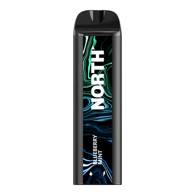 Blueberry Mint North 5000 Disposable Vape - North Vape - Disposable Nicotine Vape