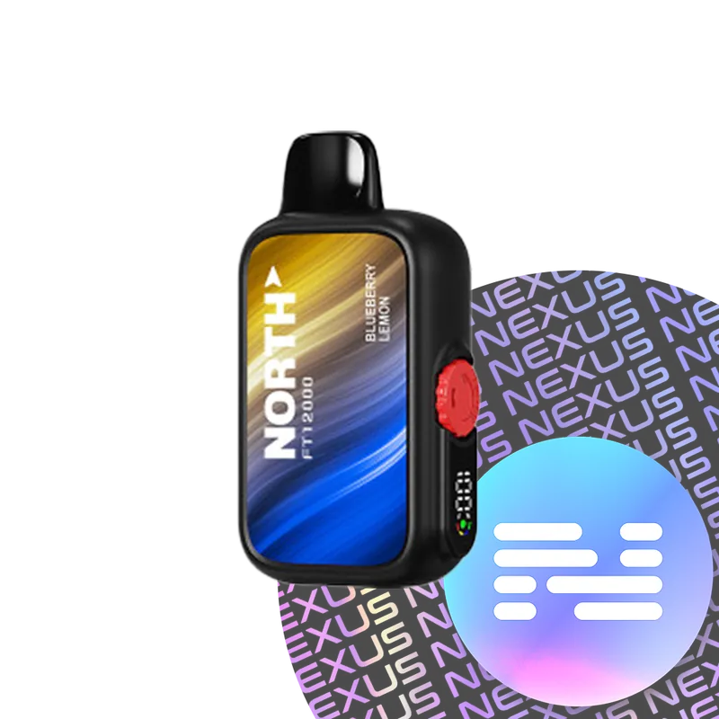 Blueberry Lemon North FT12000 Disposable Vape 12000 Puff - North Vape - Disposable Nicotine Vape