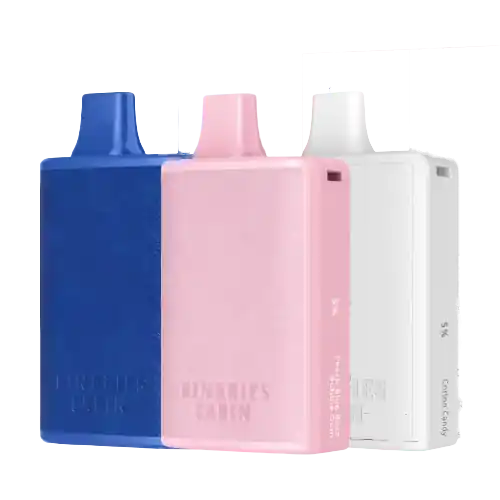 Binaries Cabin Disposable 10000 Puff – Rechargeable Disposable Vape by Horizon - Binaries Vape