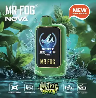 Mr Fog Nova Mint Steezy 36K