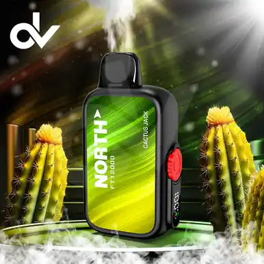 North FT12000 15ML 12000 Puffs Disposable
