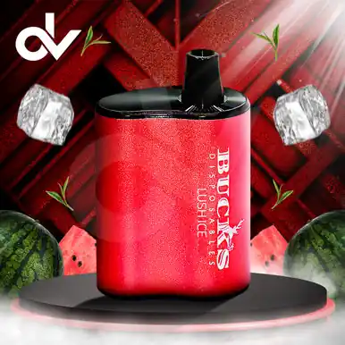 Bucks 5000 Disposable Vape