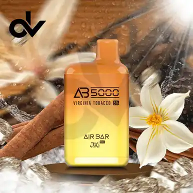 Air Bar AB5000 Disposable