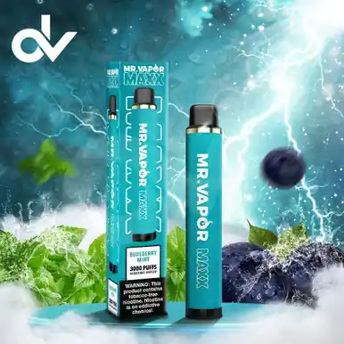 Mr Vapor Maxx Vape