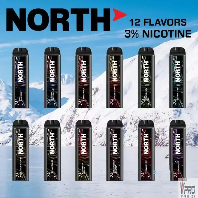North 5000 Puffs Disposable Vape 3% - North Vape