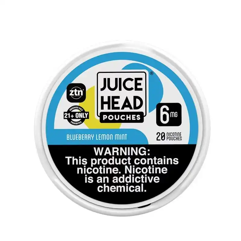 Blueberry Lemon Mint - Juice Head ZTN Pouches