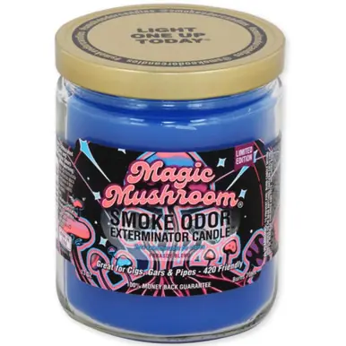 Smoke Odor Candle | 13oz