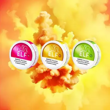 ELF Tobacco Free Nicotine Salt Pouches - ELF VPR