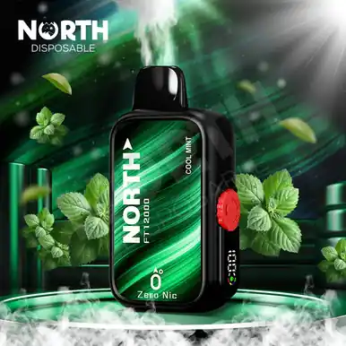 North FT12000 0% - Cool Mint