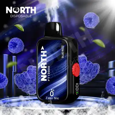 North FT12000 0% - Blue Razz