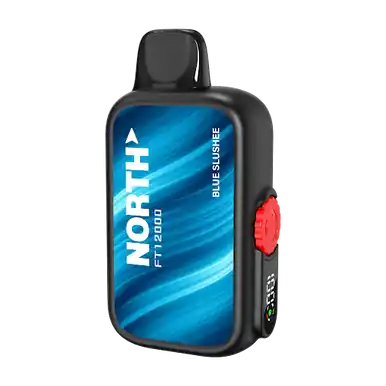 North FT12000 15ML 12000 Puffs Disposable - Blue Slushie