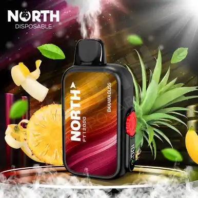 North FT12000 15ML 12000 Puffs Disposable - Bahamas Bliss