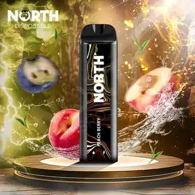 North 5000 Disposable - Peach Berry
