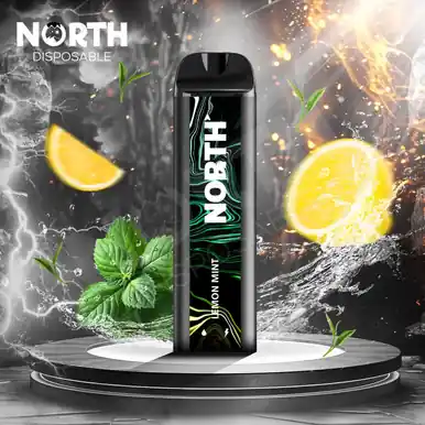 North 5000 Disposable - Lemon Mint