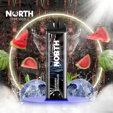 North 5000 Disposable - Blueberry Watermelon