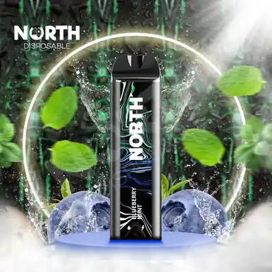 North 5000 Disposable - Blueberry Mint