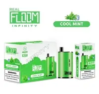 Floom Infinity Cool Mint Disposable | MOQ 5pc | 4000 Puffs - BRANDS