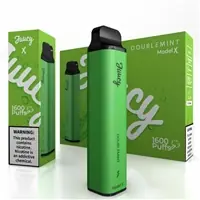 JUUCY Model X Double mint Disposable Vape Device - BRANDS