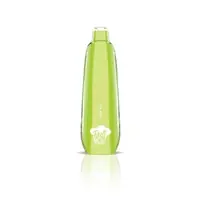 Lush Ice Puff Air Mesh | MOQ 10pc | 3000 Puffs | 8mL - BRANDS