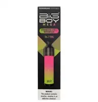 Strawapple Watermelon Big Boy Mega Rechargeable Disposable | MOQ 10pc | 5000 Puffs | 11mL - BRANDS