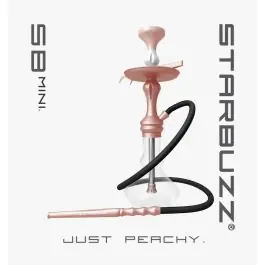 20" Starbuzz SB Mini Hookah
